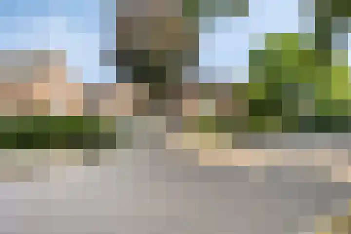 Brandsestraat 3 Mill thumbnail 6
