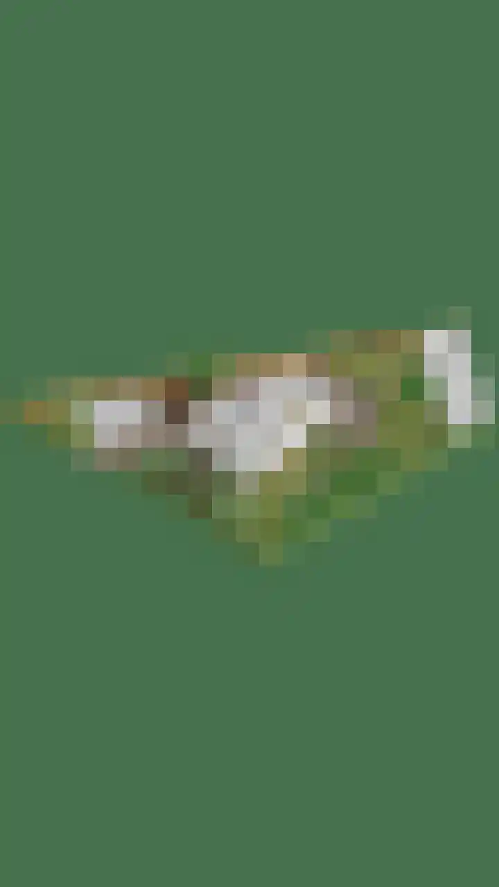 Brandsestraat 3 Mill thumbnail 60