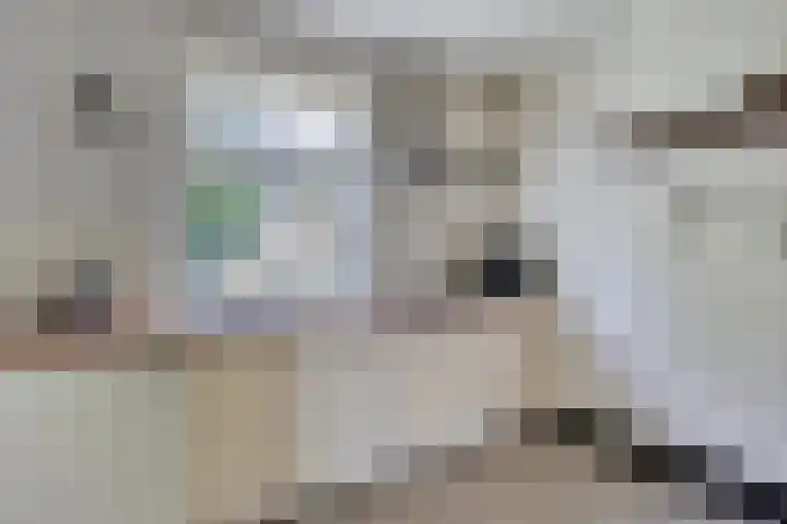 Brandsestraat 3 Mill thumbnail 8