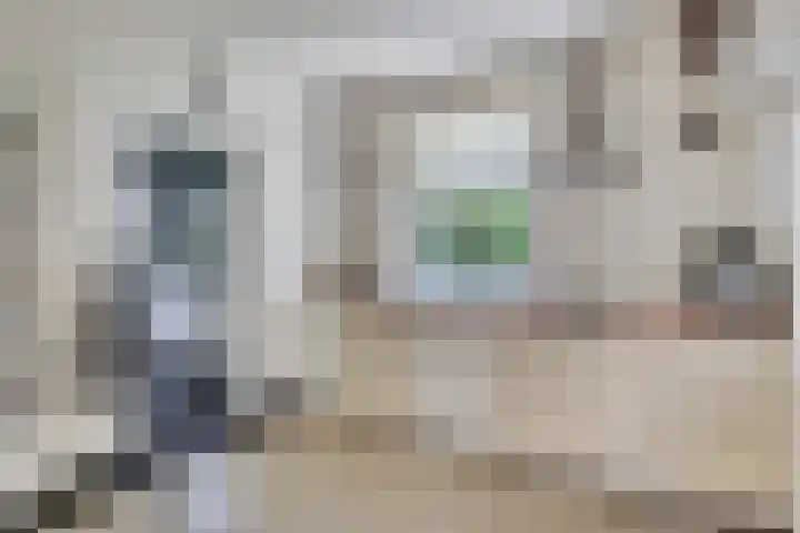 Brandsestraat 3 Mill thumbnail 9