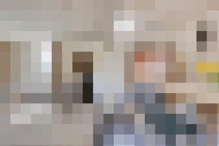Brandsestraat 7 Sint-Michielsgestel thumbnail 7