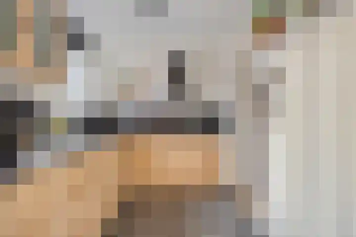 Brandseweg 12 Etten-Leur thumbnail 13