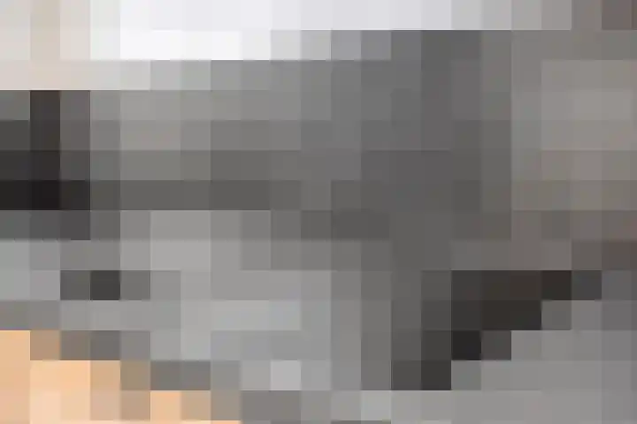Brandseweg 12 Etten-Leur thumbnail 16