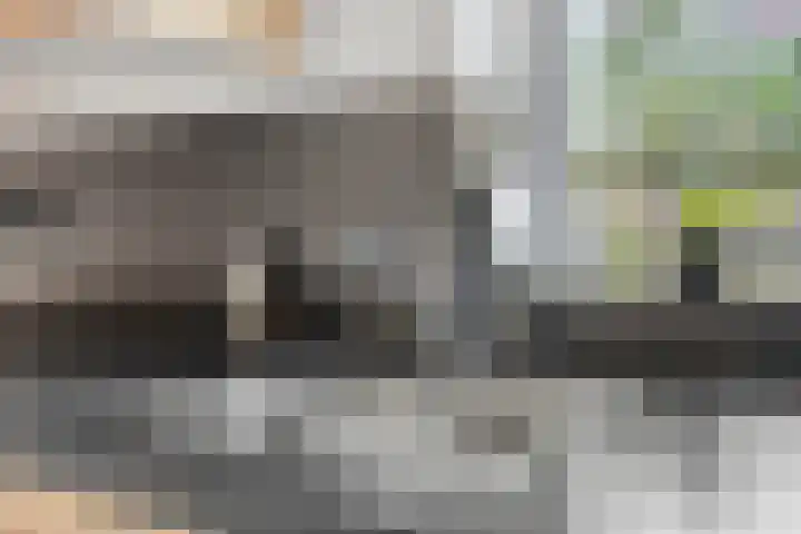 Brandseweg 12 Etten-Leur thumbnail 17