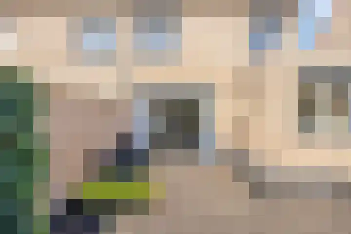 Brandseweg 12 Etten-Leur thumbnail 36