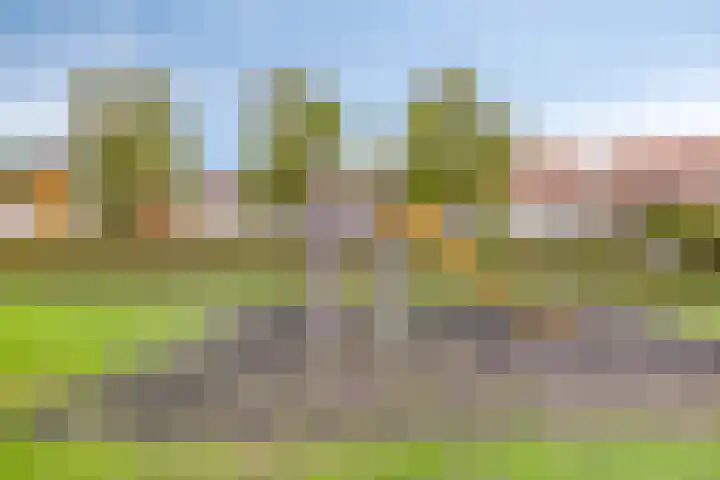 Brandseweg 12 Etten-Leur thumbnail 43