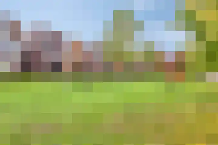 Brandseweg 12 Etten-Leur thumbnail 46