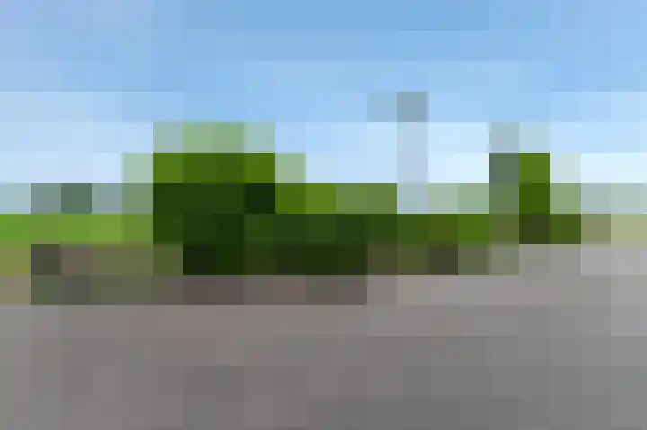 Brandseweg 5 Kruisland thumbnail 44