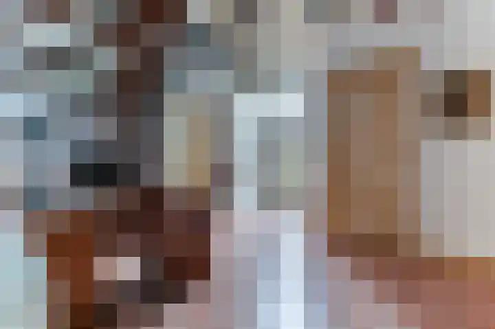 Brandseweg 5 Kruisland thumbnail 9