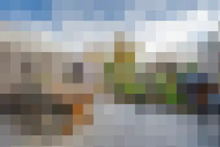 Brandseweg 56 Etten-Leur thumbnail 33