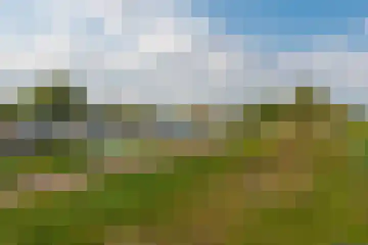 Brandseweg 56 Etten-Leur thumbnail 38