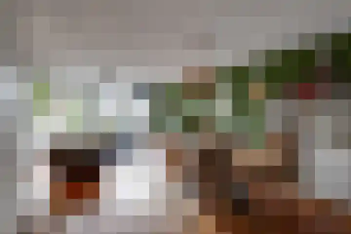 Brandseweg 56 Etten-Leur thumbnail 8