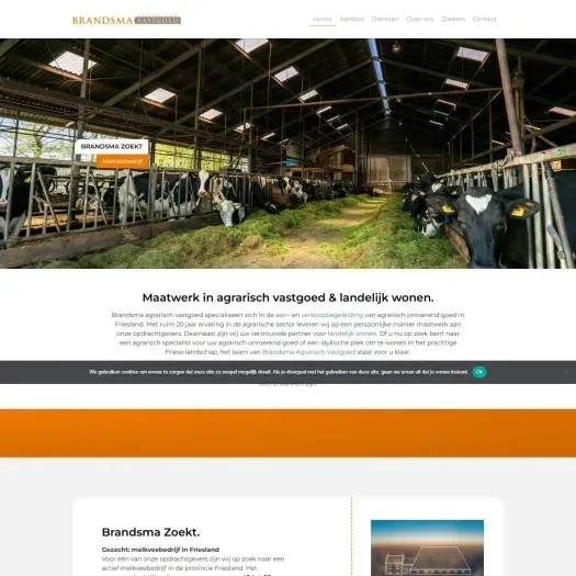 Capture d'écran du site web de www.brandsma-og.nl