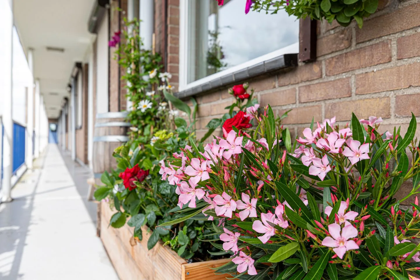 Brandsmastraat 36 Gouda thumbnail 8