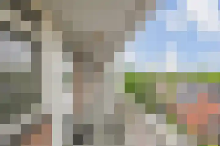 Brandsmastraat 45 Gouda thumbnail 8