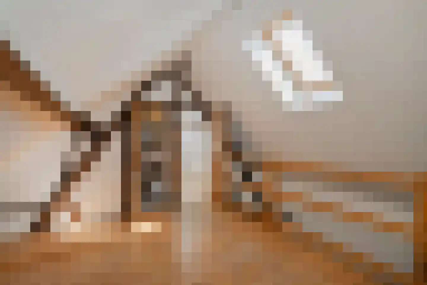 Brandstraat 12 Einighausen thumbnail 25