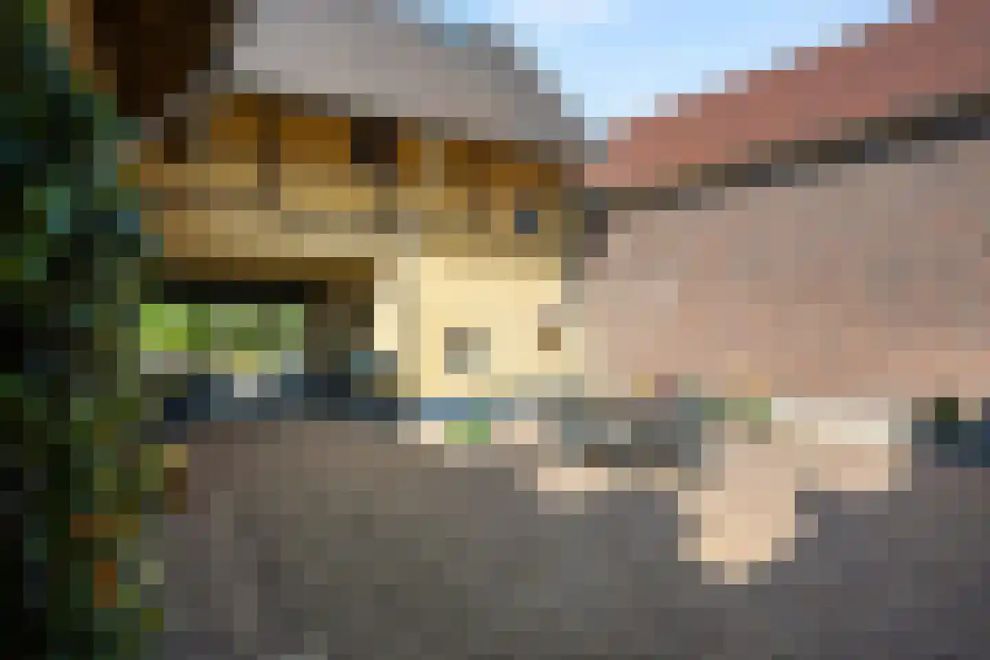 Brandstraat 12 Einighausen thumbnail 36