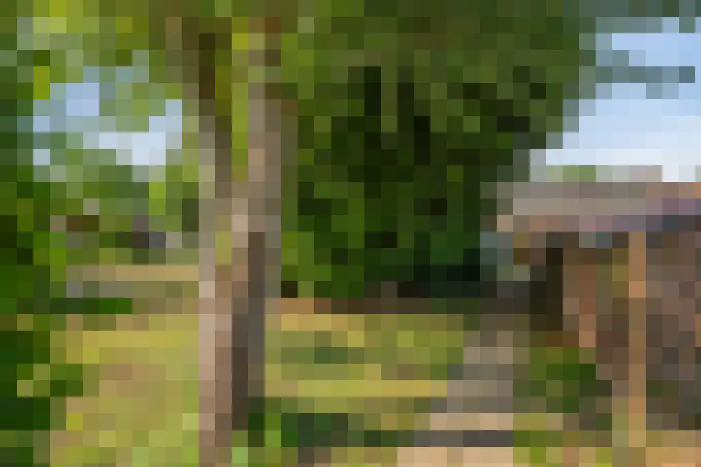 Brandstraat 12 Einighausen thumbnail 39
