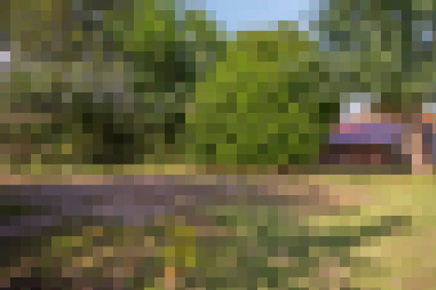 Brandstraat 12 Einighausen thumbnail 41
