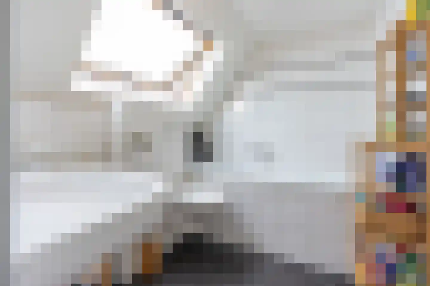 Brandstraat 263 Utrecht thumbnail 30