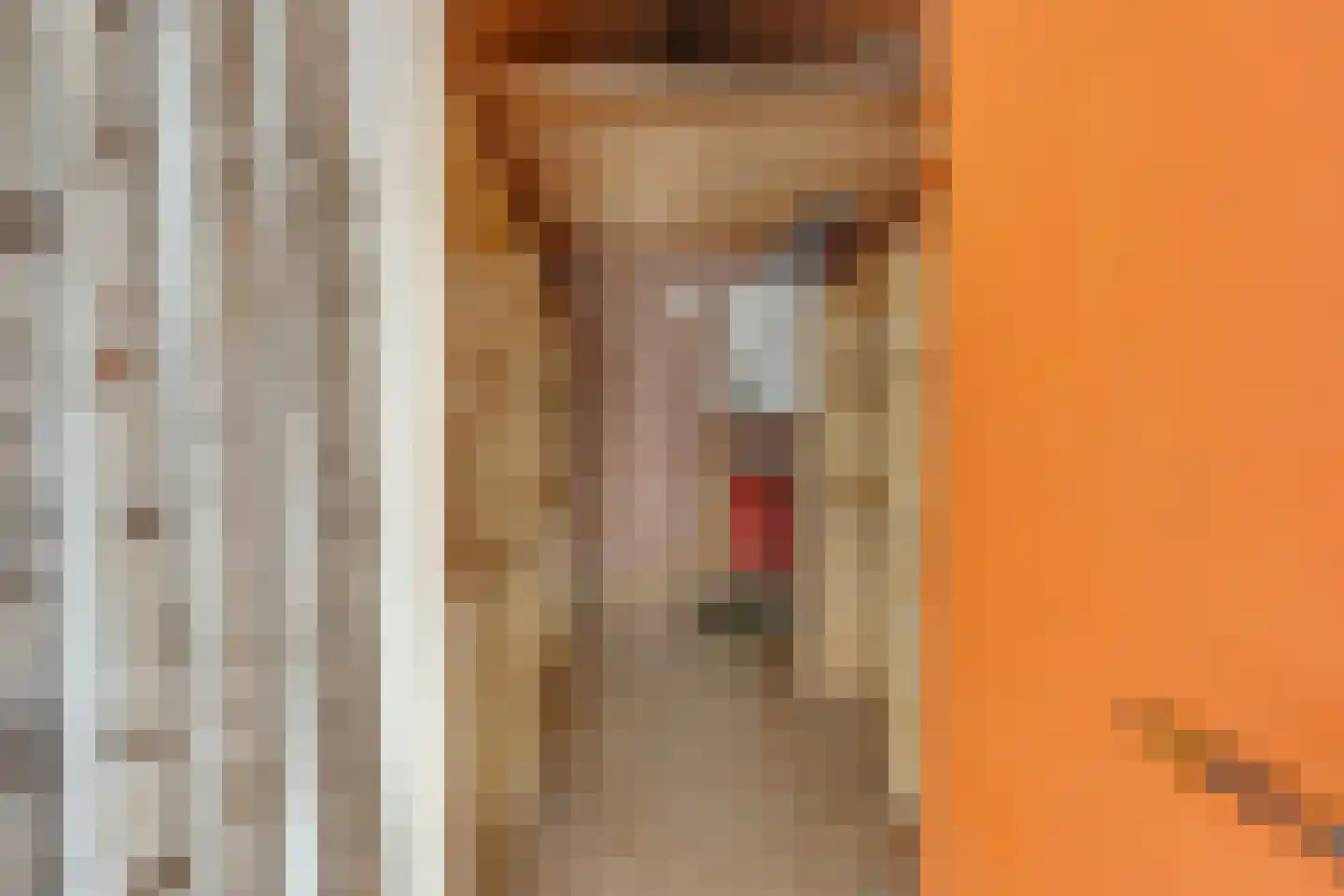 Brandstraat 263 Utrecht thumbnail 47