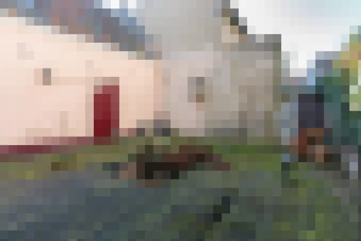 Brandstraat 263 Utrecht thumbnail 51