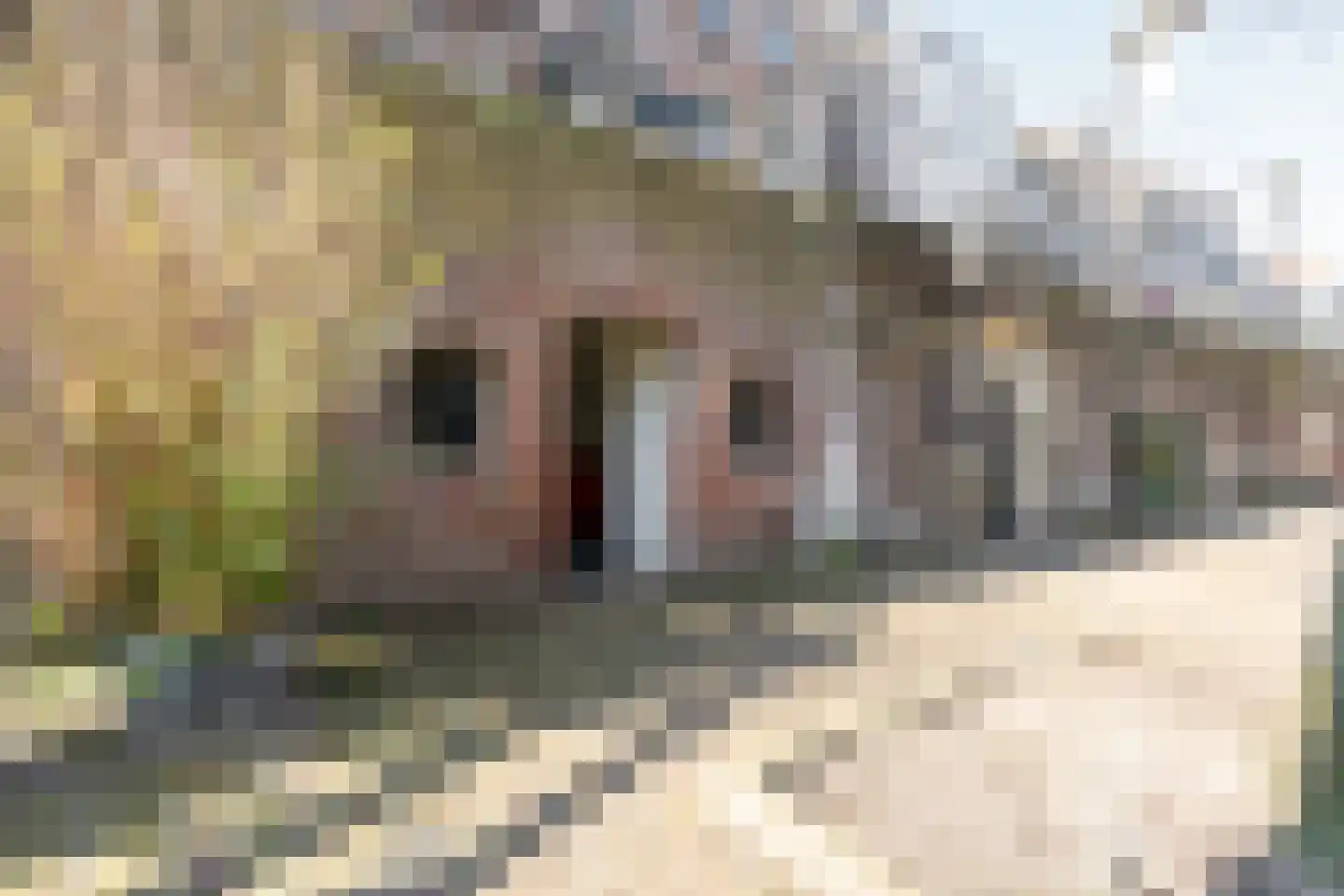 Brandstraat 263 Utrecht thumbnail 67