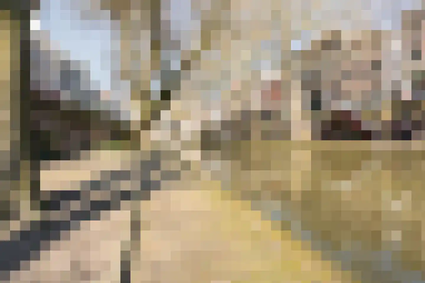 Brandstraat 263 Utrecht thumbnail 68