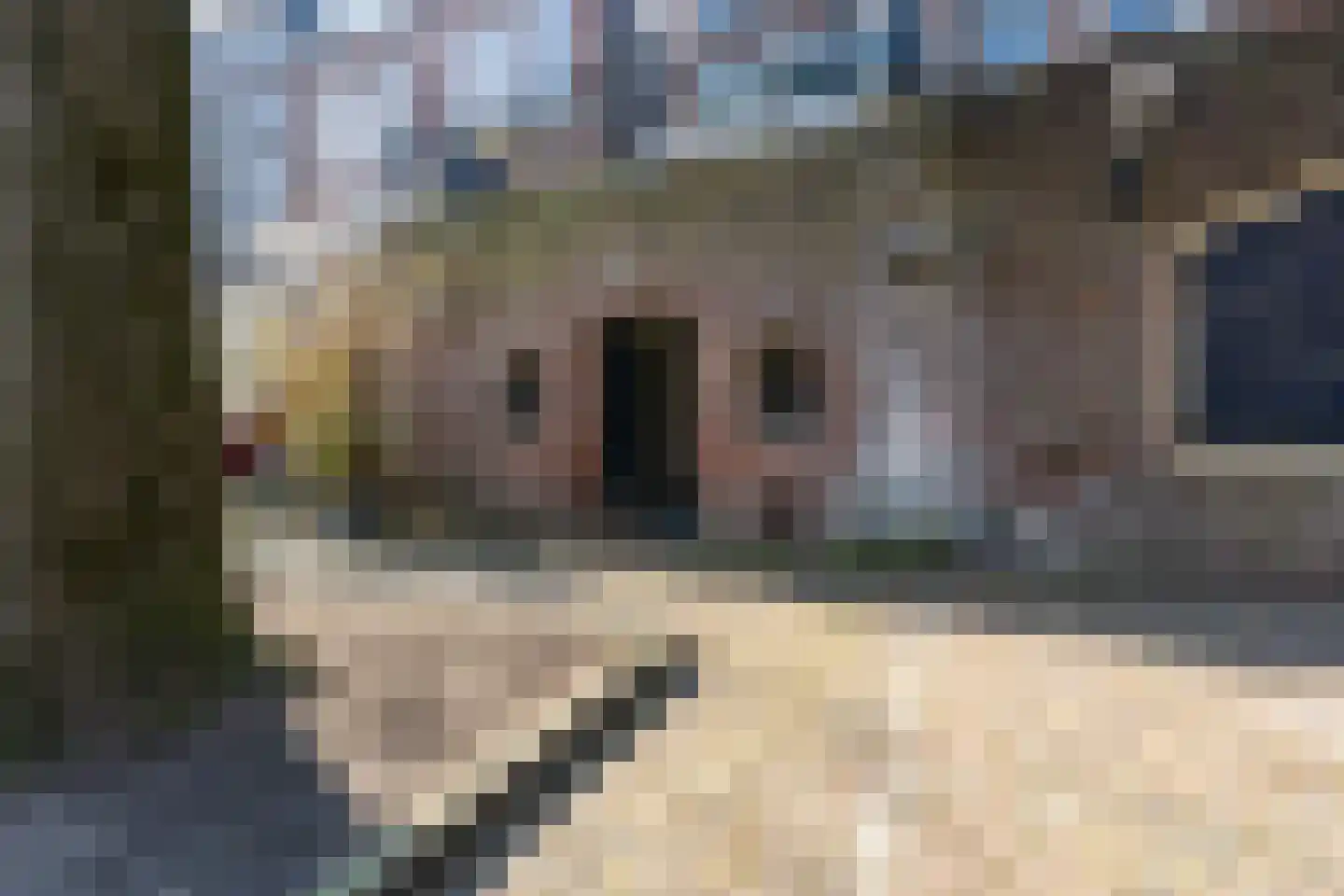 Brandstraat 263 Utrecht thumbnail 69