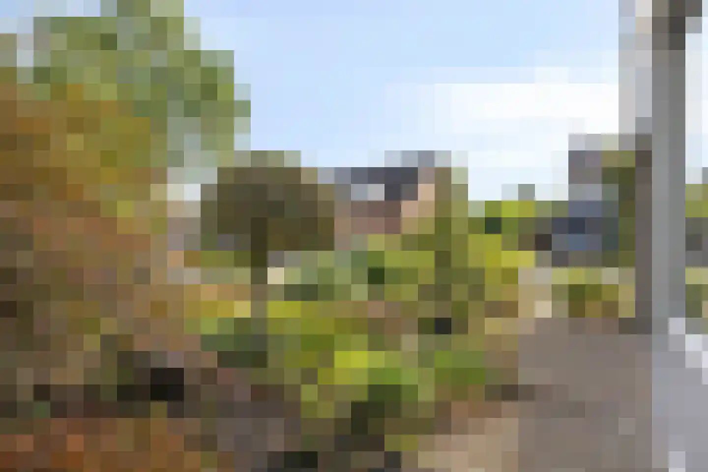 Brandstraat 30 Beek en Donk thumbnail 28
