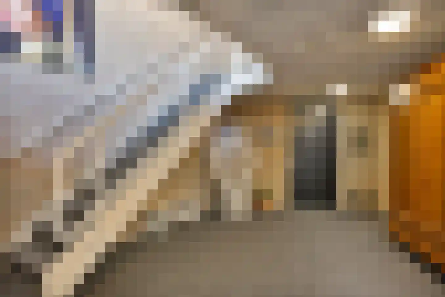 Brandstraat 30 Beek en Donk thumbnail 31