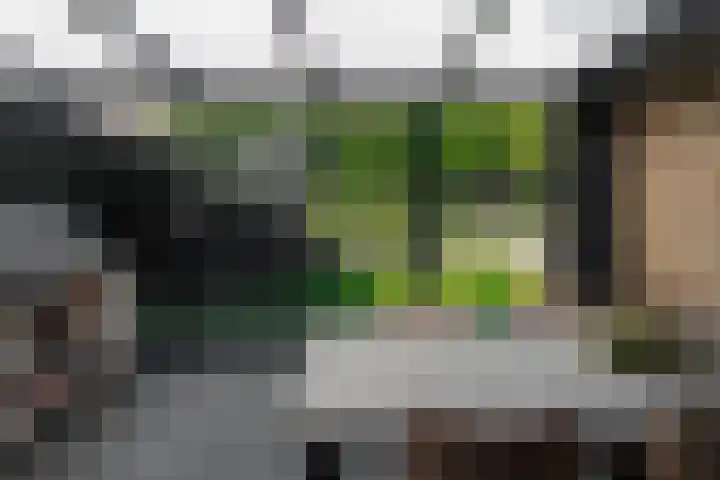 Brandstraat 8 c Heerde thumbnail 30