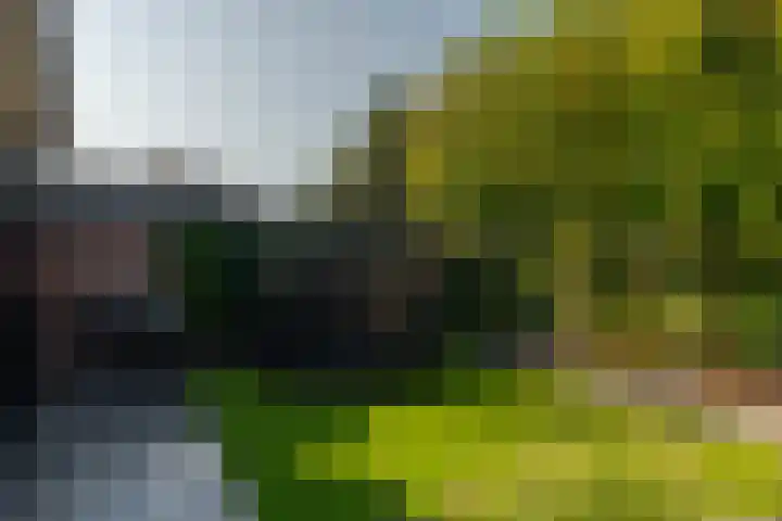 Brandstraat 8 c Heerde thumbnail 33
