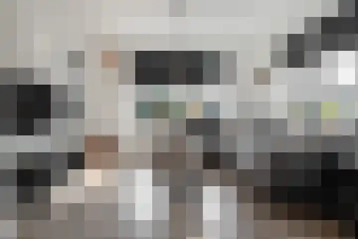 Brandstraat 8 c Heerde thumbnail 6