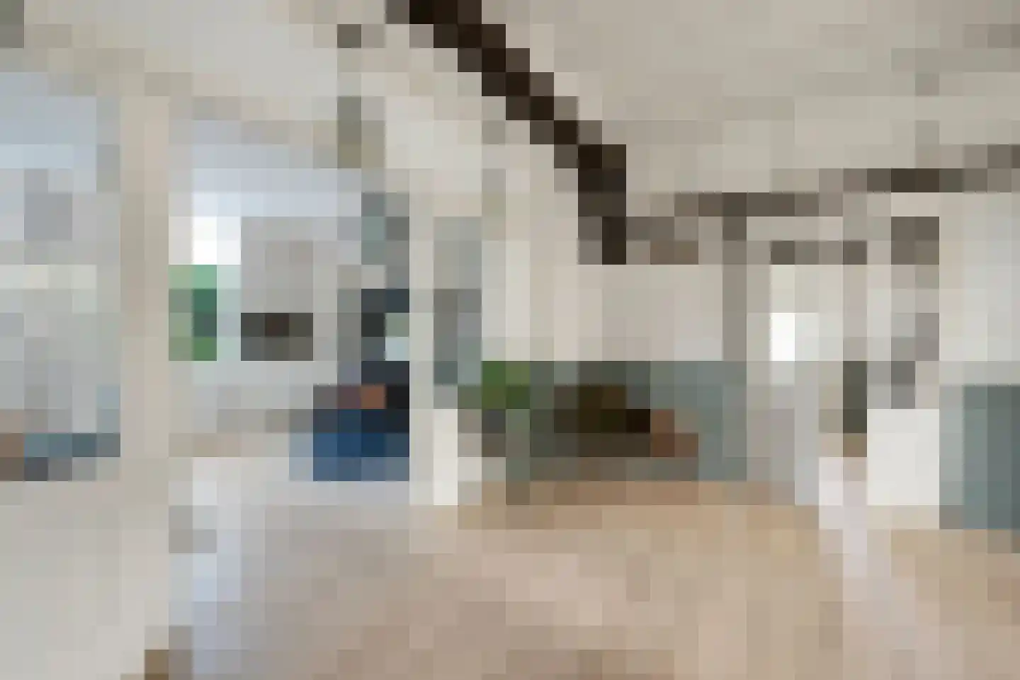 Brandstraat 8 Heerde thumbnail 14