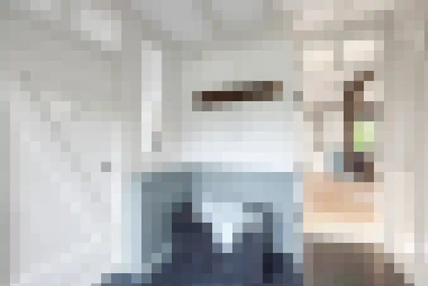 Brandstraat 8 Heerde thumbnail 25