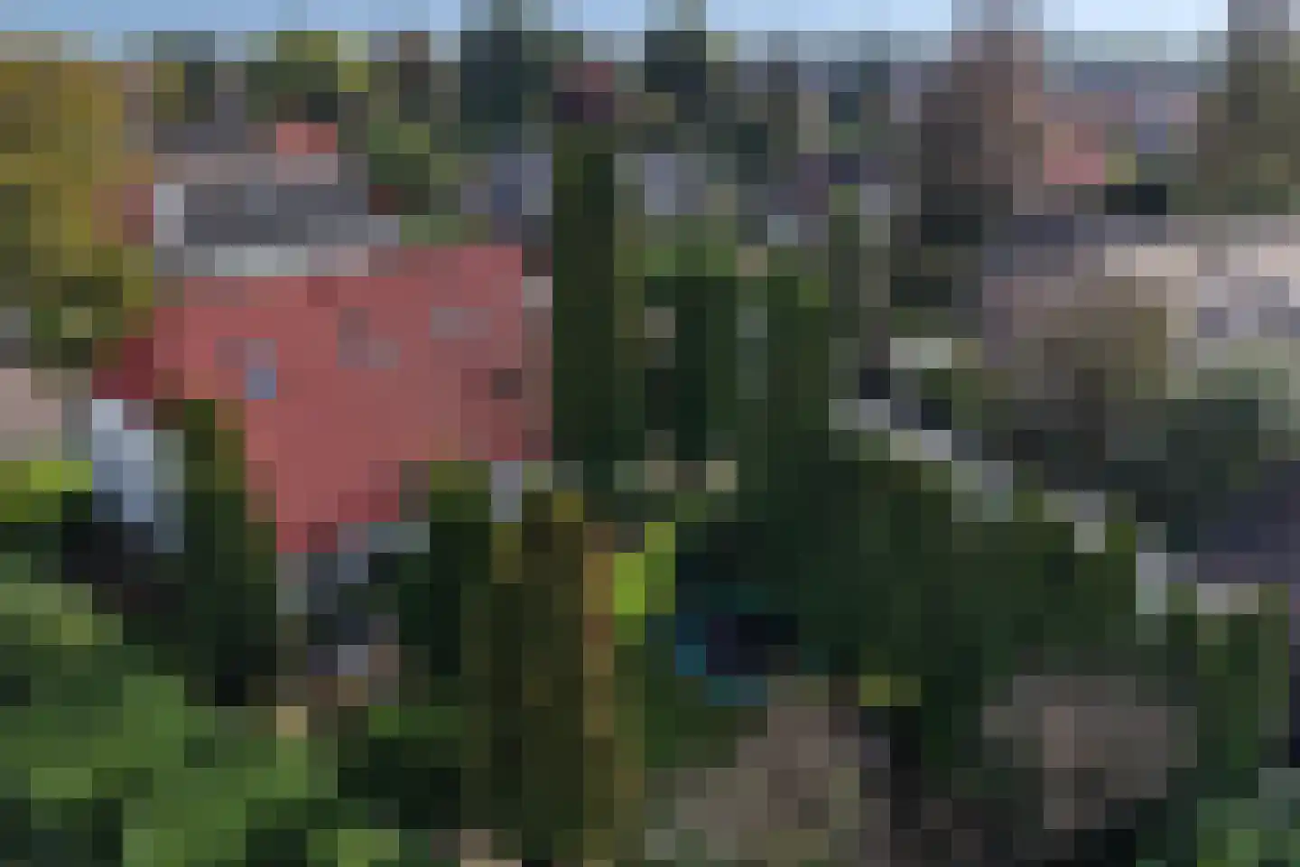 Brandstraat 8 Heerde thumbnail 43