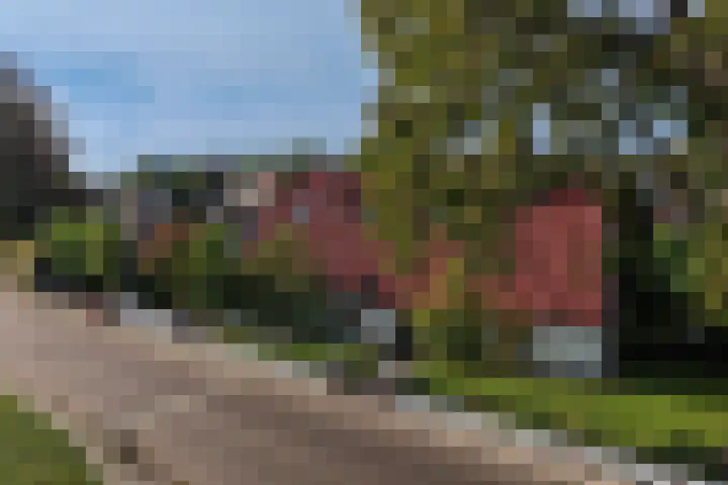 Brandstraat 8 Heerde thumbnail 45