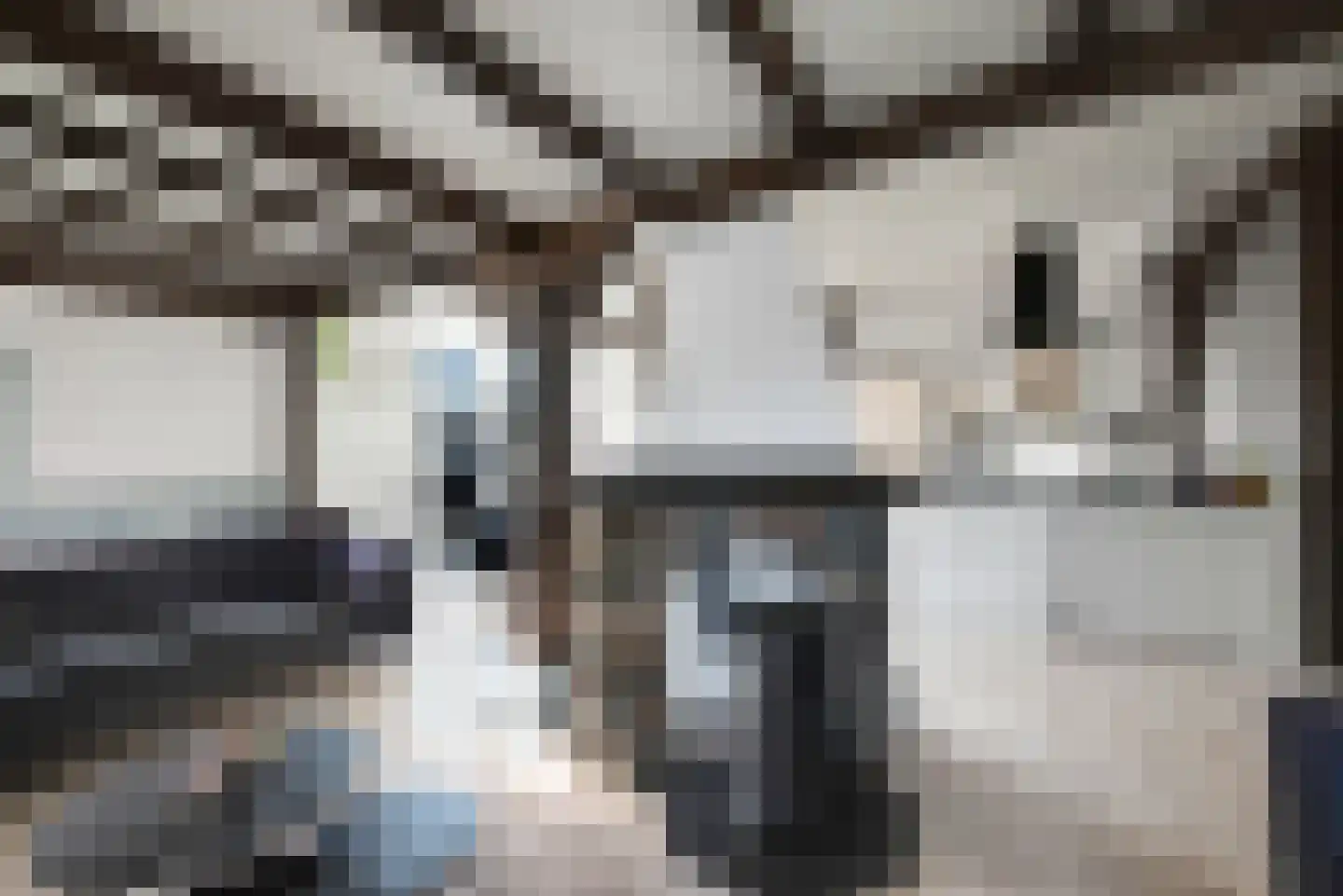 Brandstraat 8 Heerde thumbnail 7