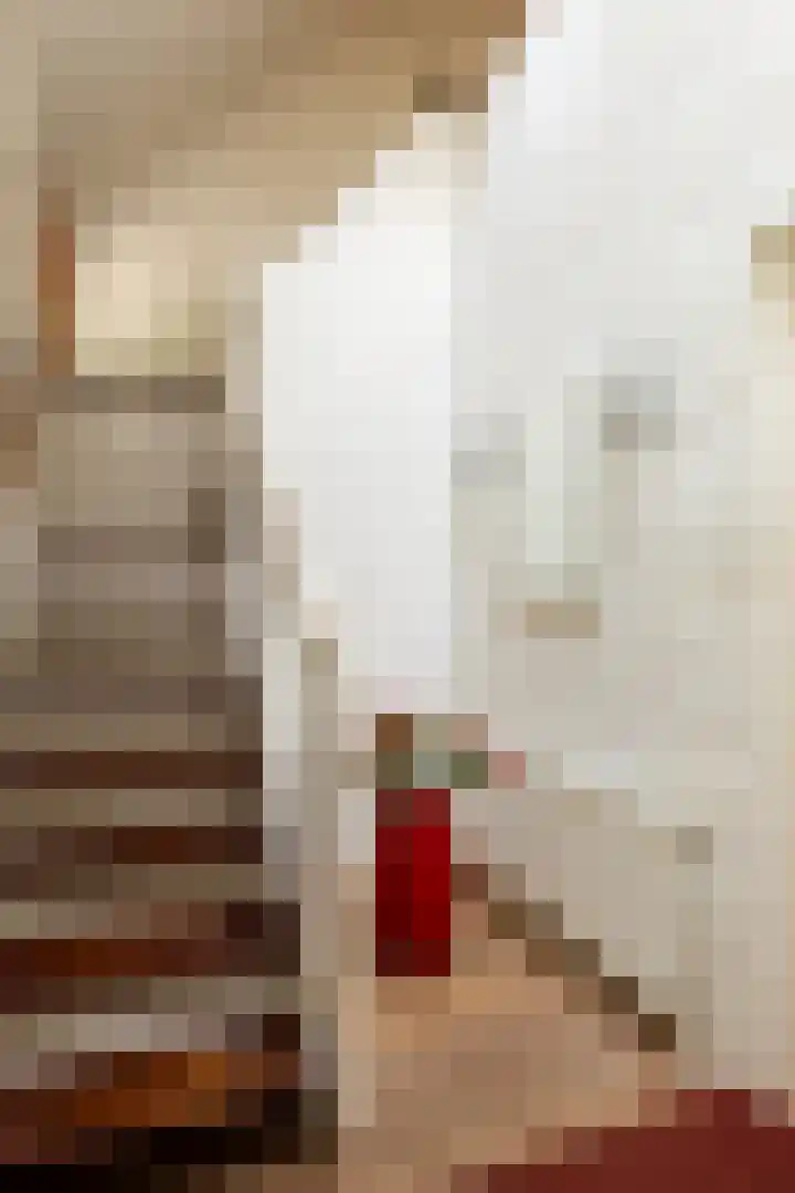 Brandsweg 44 Hulshorst thumbnail 12