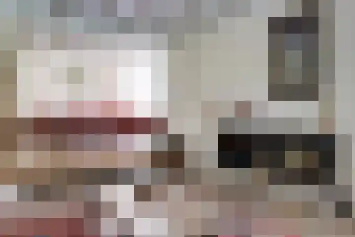 Brandsweg 44 Hulshorst thumbnail 16