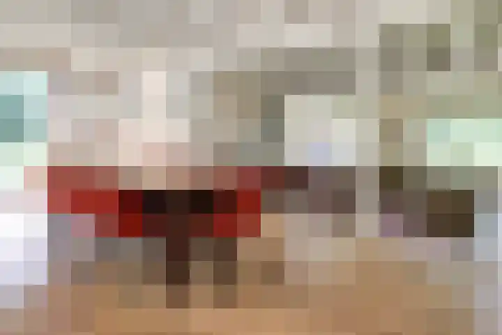 Brandsweg 44 Hulshorst thumbnail 17
