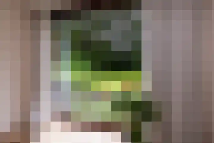 Brandsweg 44 Hulshorst thumbnail 18
