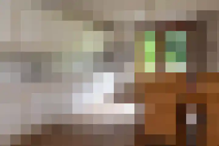 Brandsweg 44 Hulshorst thumbnail 22