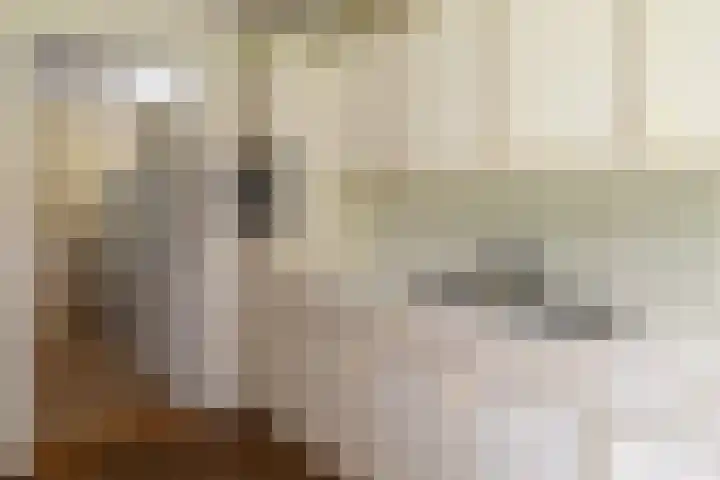 Brandsweg 44 Hulshorst thumbnail 25