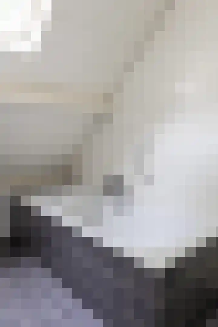Brandsweg 44 Hulshorst thumbnail 31