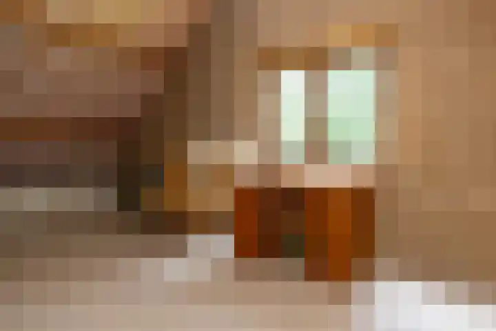 Brandsweg 44 Hulshorst thumbnail 35