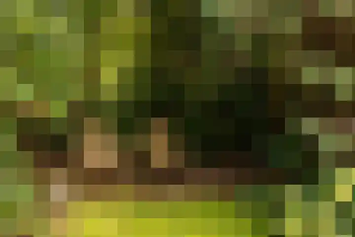 Brandsweg 44 Hulshorst thumbnail 8