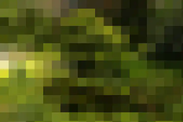 Brandsweg 44 Hulshorst thumbnail 9