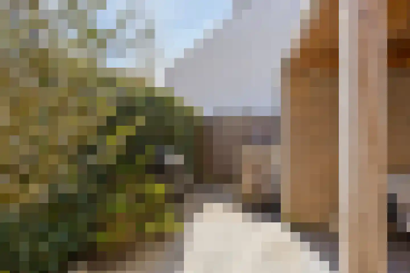 Brandts Buyspark 104 Deventer thumbnail 35